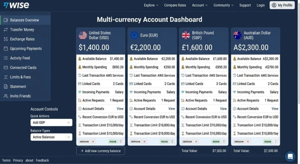 Wise multi-currency account dashboard example